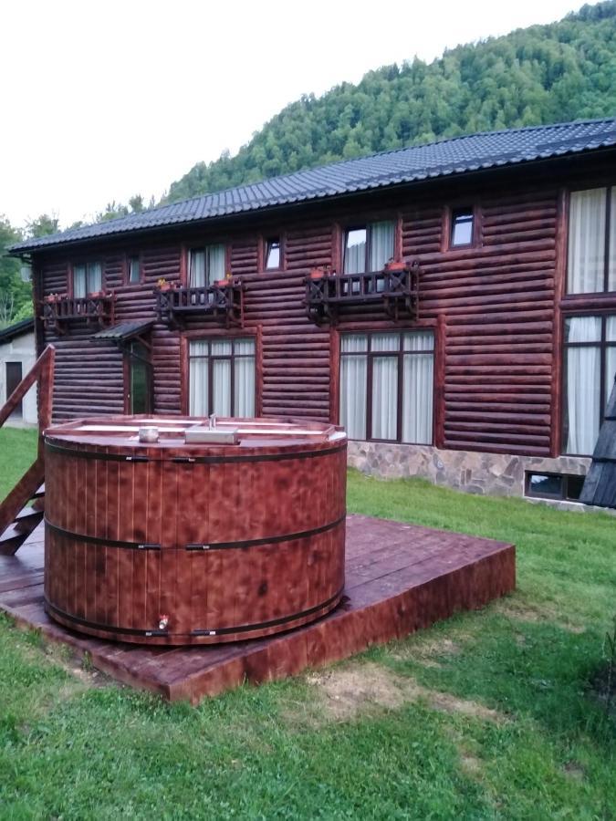 Pensiunea Roxana Valea Viseului Luaran gambar