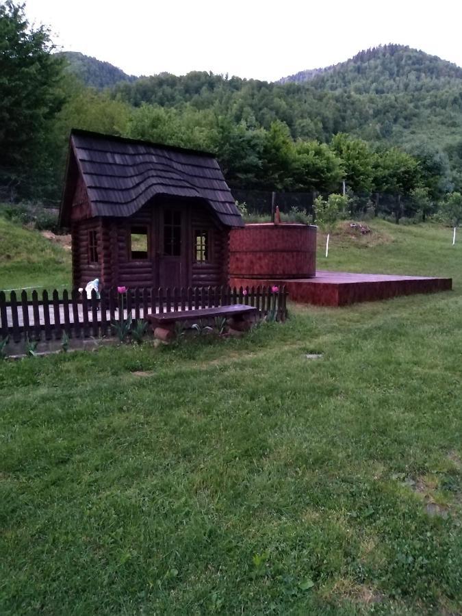 Pensiunea Roxana Valea Viseului Luaran gambar