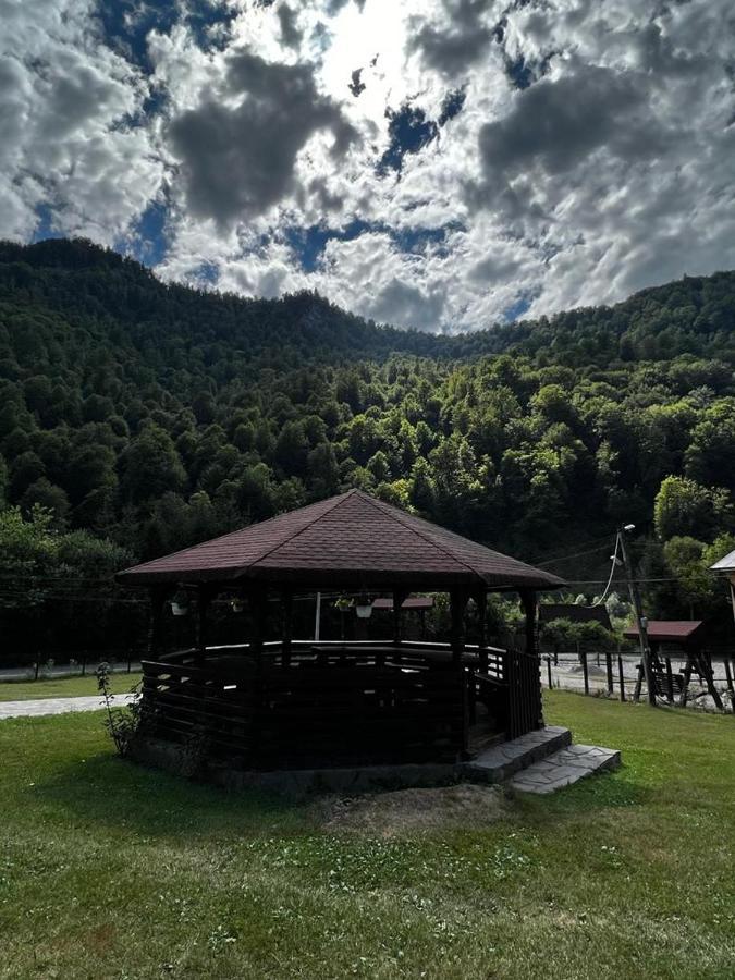 Pensiunea Roxana Valea Viseului Luaran gambar