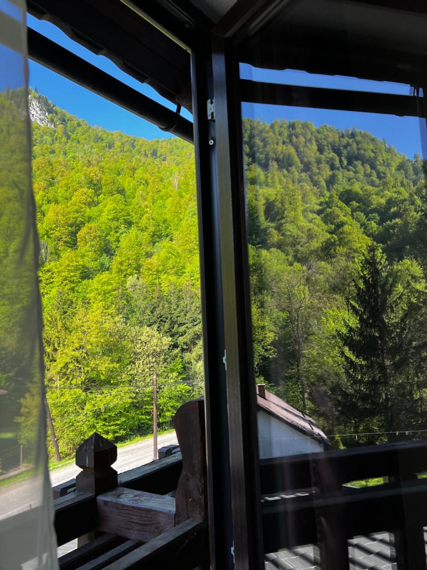 Pensiunea Roxana Valea Viseului Luaran gambar