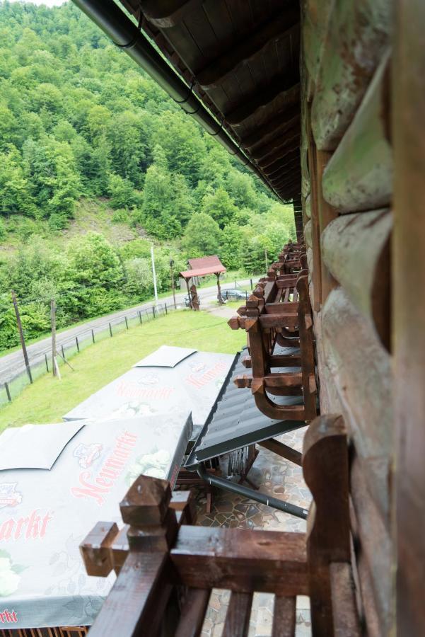Pensiunea Roxana Valea Viseului Luaran gambar